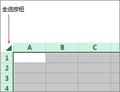 “全选”按钮