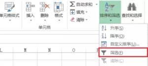 Excel筛选：如何使用Excel筛选功能？