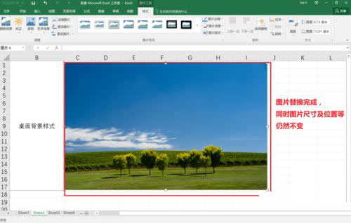 Excel2016怎么替换图片