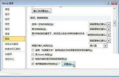 剪切、復制和粘貼”設置選項