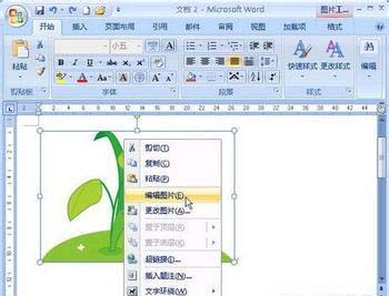 Word2007的神奇功能:画出画面反射效果