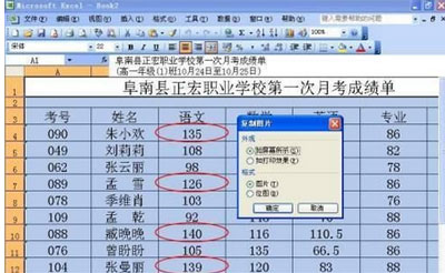 Excel基础指定数据源标注重要项