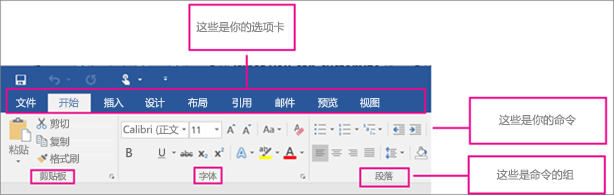 显示功能区的各个部分的图片：选项卡、命令、命令组