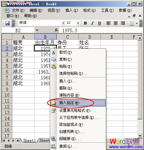 如何在Excel2003单元格中添加介绍性文本