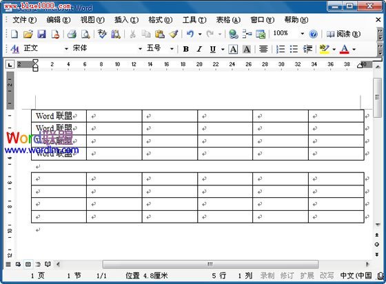 表格一分為二
