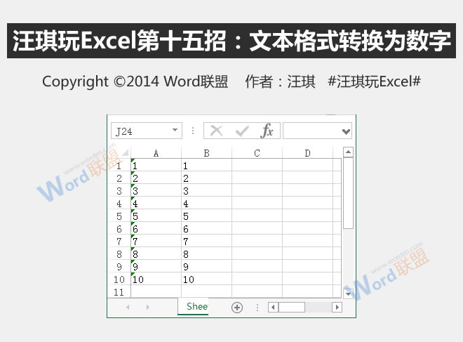 将文本格式转换为数字:王琦在玩Excel的第十五招