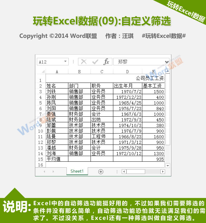 自定义过滤器:播放Excel数据(09)