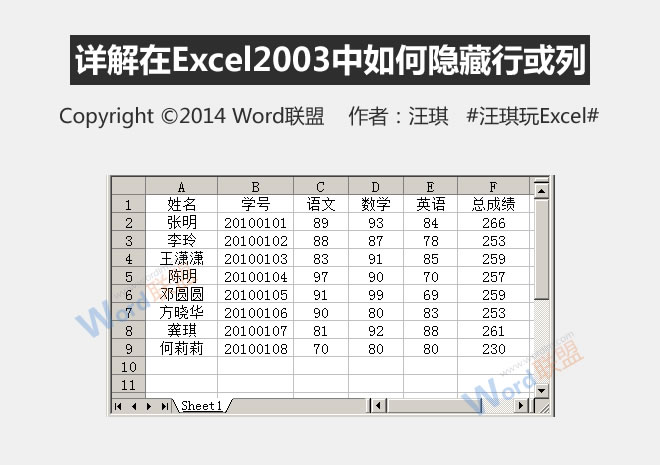 详细说明如何在Excel2003中隐藏行或列