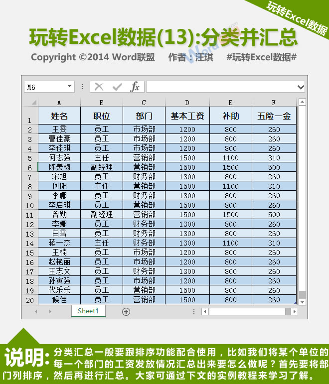播放Excel数据分类汇总(13)