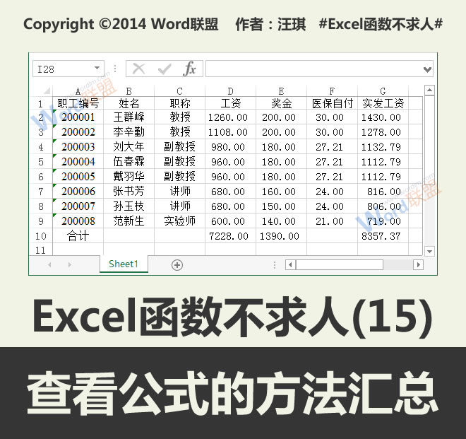 查看公式:不求人Excel函数的方法总结(15)