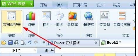 如何使用wps窗体制作数据透视图