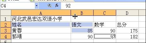 表格行高列宽的调整