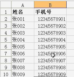 WPS文字实现数据分栏打印