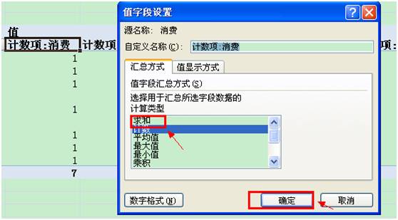 wps数据透视表怎么用？第11张