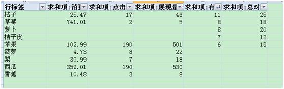 wps数据透视表怎么用？第13张