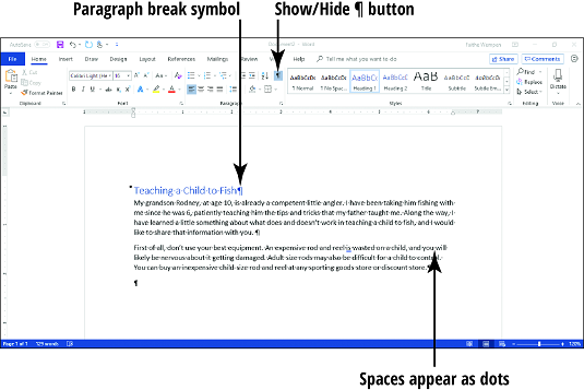 Word 2019段落标记