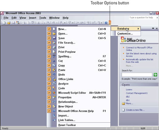 復選標記告訴Office 2003在工具欄上顯示特定圖標。