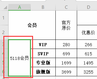 WPS表格里的文字怎样变成竖版?第1张